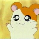 방가방가 이미지