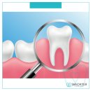 365오케이치과의원 이미지