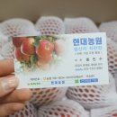 현대농원
