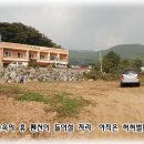 숲속의휴