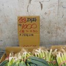 부평마그네