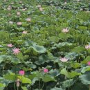 연화정도서관 화장실 이미지