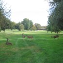 모두메디케어 이미지