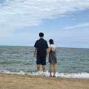 대우모텔 | 9월 묵호 여행기𓈒𓂂𓏸♡| 책방구경 | 하평해변 | 횟집추천 |바다 보이는 ktx 좌석