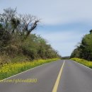 큰코지아침 이미지