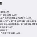 더본커머스 이미지