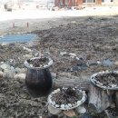 꽃밭주유소 이미지