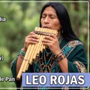 El Condor Psa외 15곡 / Leo Rojas (03:13:45) 이미지