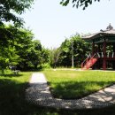 나무와새 이미지