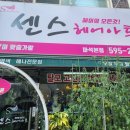 센스 모드니 가발