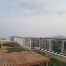 영어교육도시아이파크공인중개사사무소 | 제주 영어교육도시 오피스텔 년세안고 매매 가능 아이파크스위트 곶자왈뷰 3룸