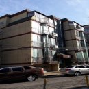 매소홀로 이미지