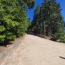 편백나무펜션2 이미지