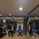 포스휘트니스센타 | 자마이카휘트니스 서래마을점 리얼 후기:)!!