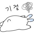 아로하츄러스 - 춘천시 | 아로하츄러스
