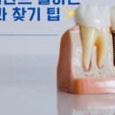 선키스트치과의원 이미지