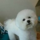 가로수동물병원 이미지