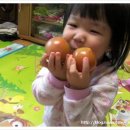 친환경흙사랑