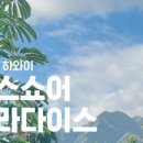 파라다이스민박 이미지