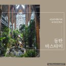 만의사 | 화성 대형카페, 동탄 만의사 근처 바스타미 솔직 방문 후기