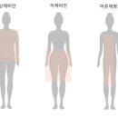 라인업 체형교정 이미지