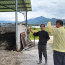 직지사천 이미지