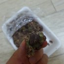 올래떡집