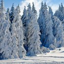 크리스마스 이미지