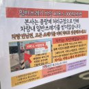 조이카 | 제주도 렌트카 내돈내산 돌하루팡으로 가성비 좋은 조이렌트카 이용 솔직 후기