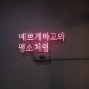 루나카롱 이미지