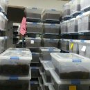 철랑농장 이미지