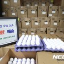 해상냉장 이미지