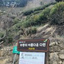 하동 도심다원 녹차밭 뷰를 즐기는 곳 캐빈 후기