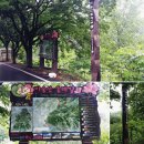 비슬사거리 대구테크노폴리스 4단지 405동 앞 횡단보도 | 비슬산 둘레길 3구간(유가테크노길)