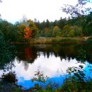 행복을다리는집 이미지