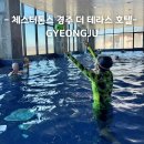 우리사우나 | 체스터톤스 경주 더 테라스 호텔 사계절 수영장 사우나 반려동물 동반 실제 투숙후기