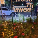 슬로우 잇 다운 이미지