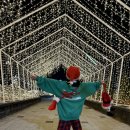 빨래마을 | [공지] 대구 앞산 산타마을 방문 후기 : 앞산빨래공터 산타마을 주차장 운영시간 점망대 대구겨울 가볼...