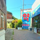 정문약국 | 대구 동인동 카페 서로의 달 5월 장미 만개 후기