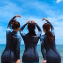 리틀코브