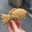 NR-29[중앙로]-하-517 | 25.03.29 대전 : 기본적으로 빵을 좋아하는 사람들은 착한 것 같아 선하고