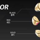 수원-1879 이미지