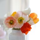 메르시엠 이미지