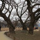심산기념관 네이버블로그