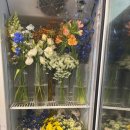 리즈플라워 이미지