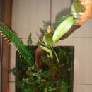 길상초등학교 이미지