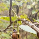 가야장모텔 이미지