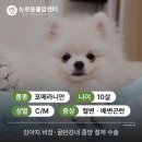 강내동물병원 네이버블로그