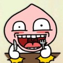 광시생고기 이미지