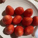 장고항 | 당진 장고항 모든날 펜션 방문 후기 삽교호 말고도 숨은 숙소 추천